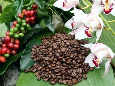 2.5 lb. Casita Blend Whole Bean Coffee