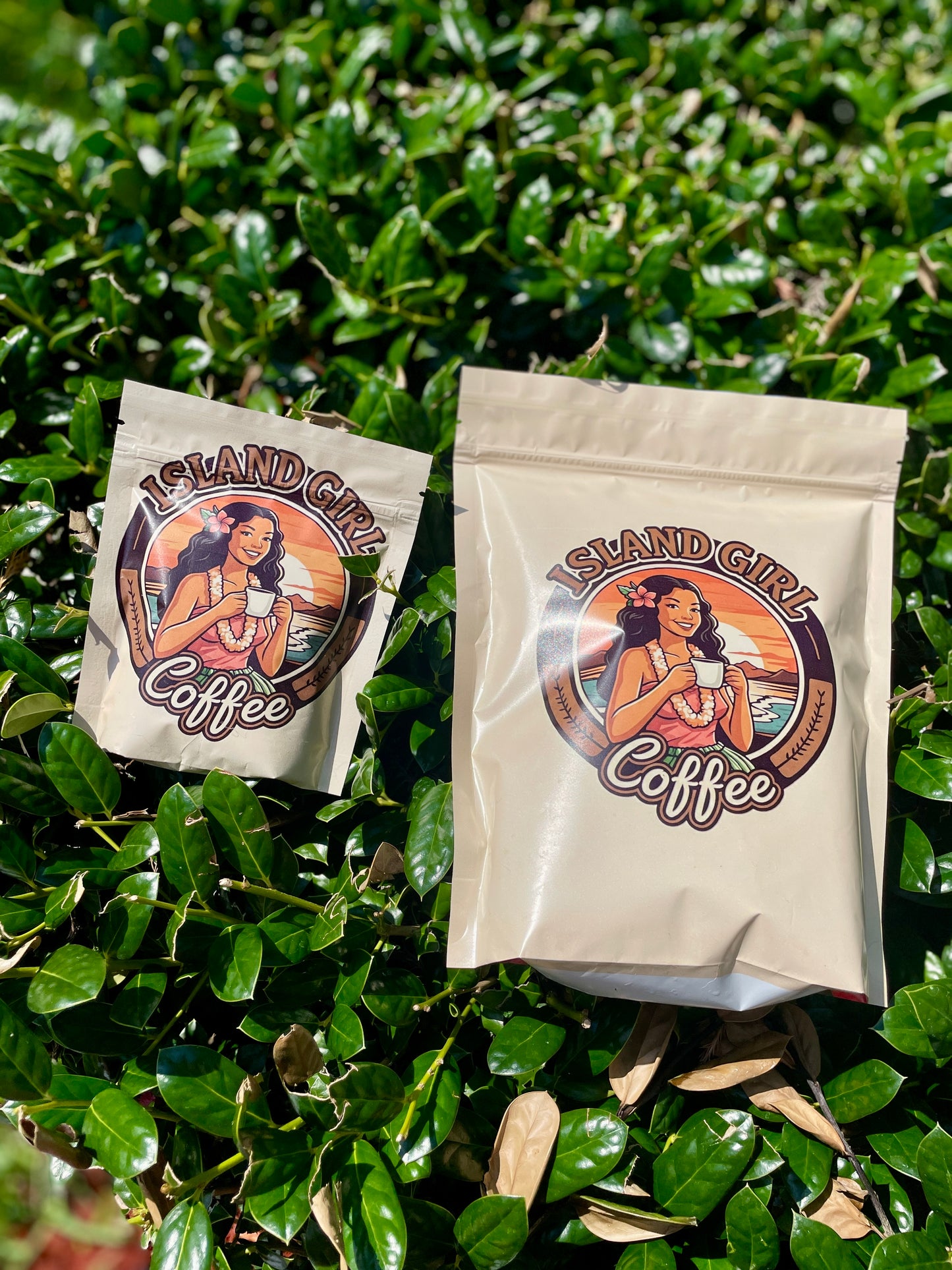 2.5 lb. Casita Blend Whole Bean Coffee